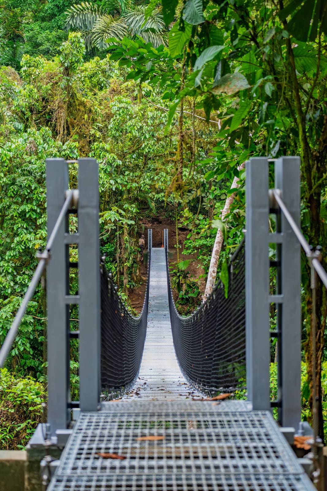 El puente colgante